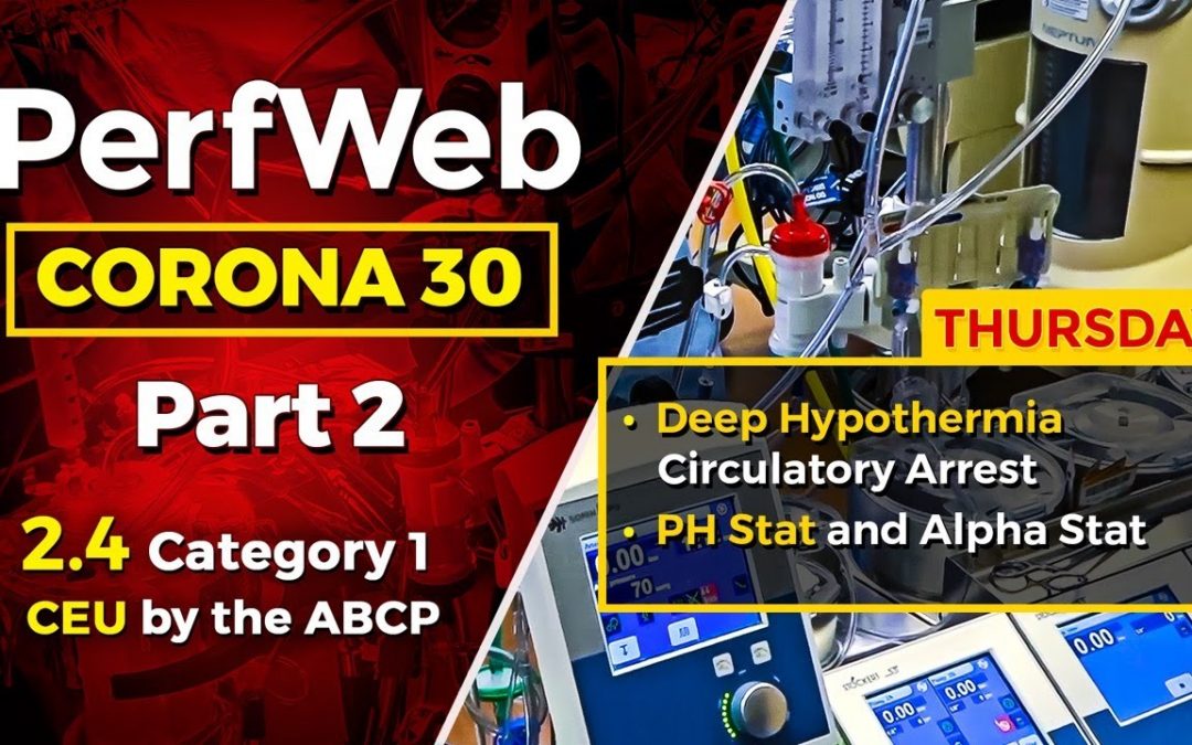 Corona 30 Part 2 Day 4 – Deep Hypothermia Circulatory Arrest and cardiopulmonary bypass