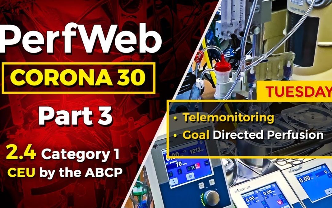 CORONA 30 Part 3 Day 2 –  Telemonitoring and telemedicine during coronavirus pandemic. Telemonitoring and ECMO