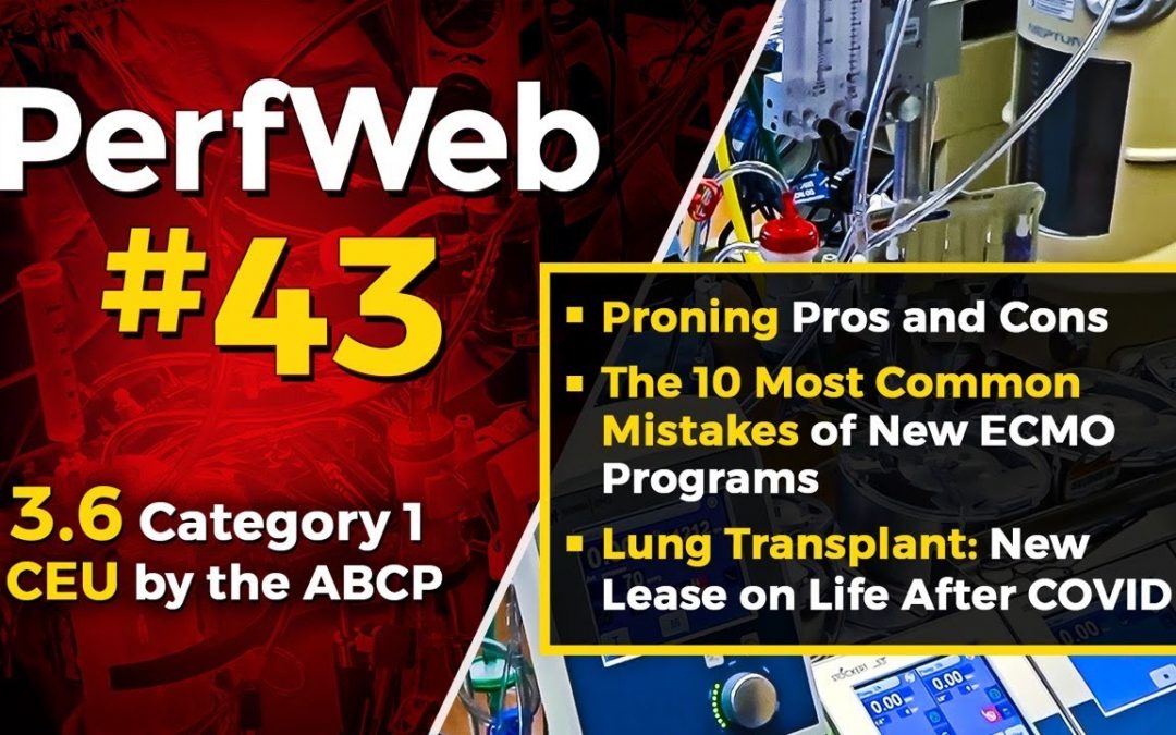 Proning pros and cons, The 10 mistakes of new ECMO programs, Lung Transplant: after COVID-19
