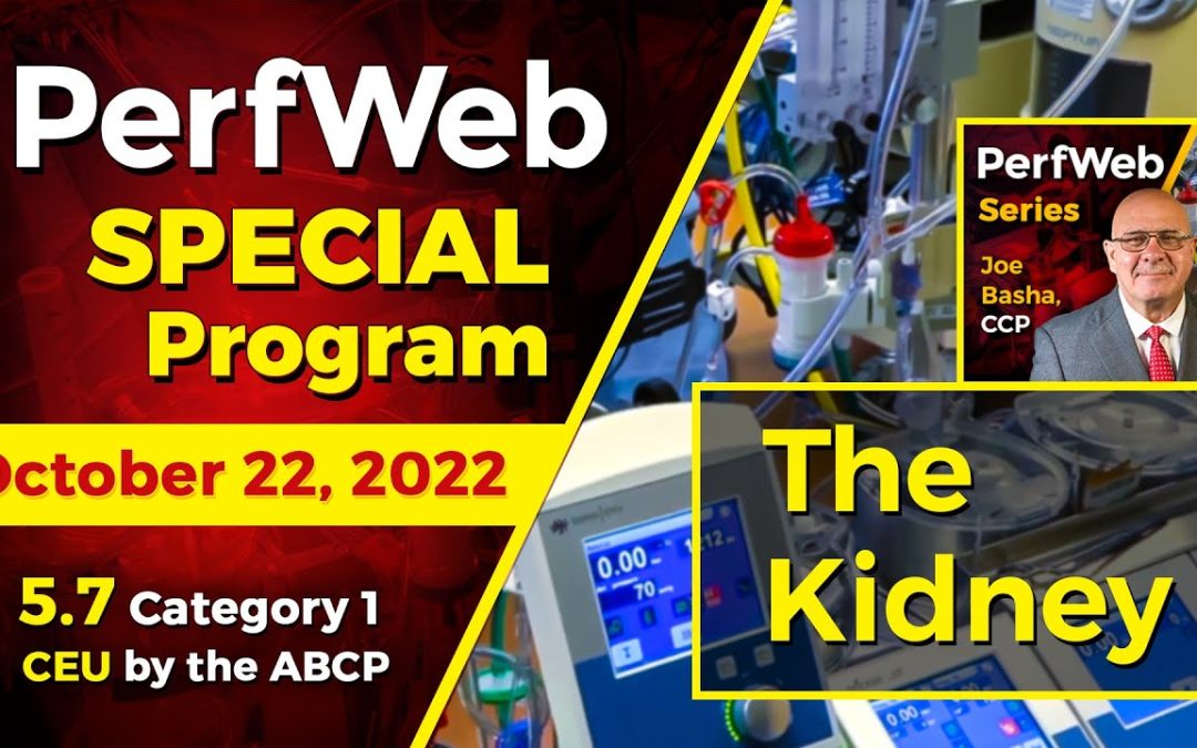 PerfWeb Special Program -The Kidney. Normal Renal Physiology. What is AKI/ARF?